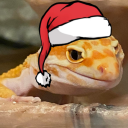 stevelizard#7553's avatar