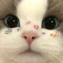 avatar cassiopeialpha