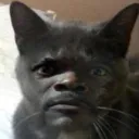samiiikxd