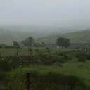 o_liiiii