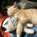 Discord Avatar