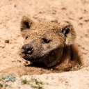 avatar 𝒬𝓊𝒾𝓃𝓃