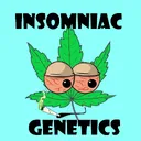 thesleepininsomniac