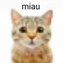 metrokillerro avatar