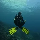 parabellum1493