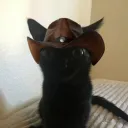 k_zo