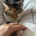 avatar ᴠᴀɴᴇꜱꜱᴀও