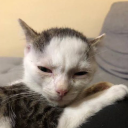 avatar 30 Letni Luluś