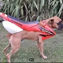victorcc