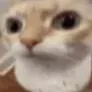 rezai.mp3