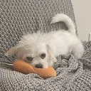 nan_110