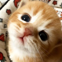 avatar ene tiene down