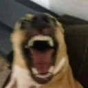 yoshisv_