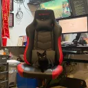 michaelpoggers