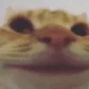 partyethtoon_