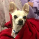 kellycat89