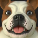 jasonmo