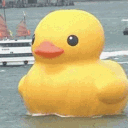 jollytheduck