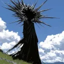 stellarryu