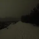 dyingonarrival