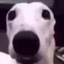 itssasa_