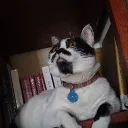 rafa0505