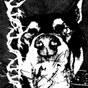 oszze