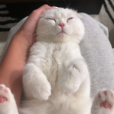 avatar Ｌｕｘｉｅｌａ