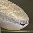 stroofen