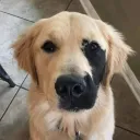 aaxxoonn