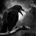 poe4324