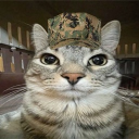 avatar ตัวแรงแซงหมด