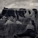 avatar Elli 🐄🌞