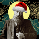 avatar 🎄Wizard de Jonkheer🎄