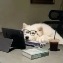 bunwaejeu