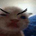 datsmunkie
