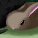 octolingnexus