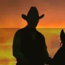paraboliccowboy