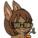 flautistacacia