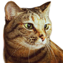 sddwarf2331's Avatar