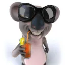 juicykoala33
