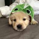 Discord Avatar