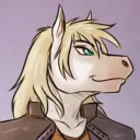 vieux_cheval_blanc
