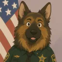 commander.k9
