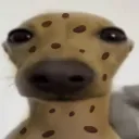 waterynico286
