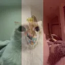 footnqtes