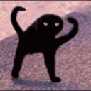 raccoon42