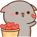 deepstarlight