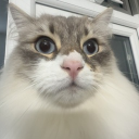 avatar Chicken wings