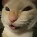 kxroleek